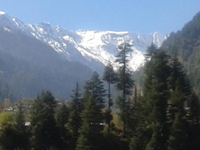 holiday tour packages in himachal,,hotels in manali